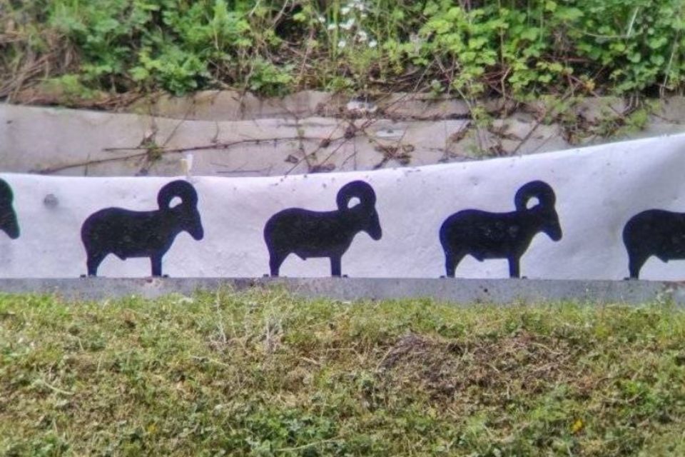 Schnuppertag - Metallsilhouetten Schnuppertag - Metallsilhouetten