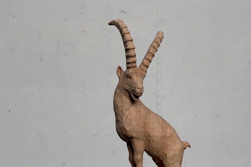 7. Garaventa Trophy 7. Garaventa Trophy