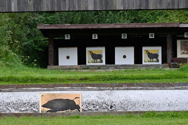 Treffsicherheitsnachweis