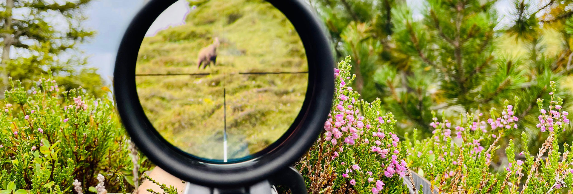 Treffsicherheitsnachweis